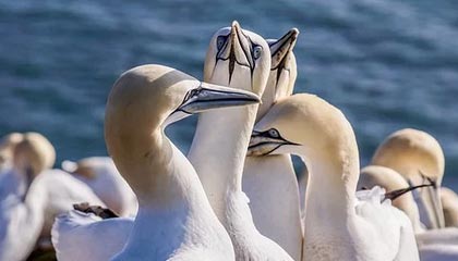 爱游戏入口-高光时刻：那些场上经典瞬间难以忘怀！，高光时刻的歌曲