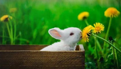 爱游戏入口-高光时刻：那些场上经典瞬间难以忘怀！，高光时刻的歌曲