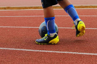 爱游戏体育-NBA球员训练营最新发展动态，nba球员日常训练项目